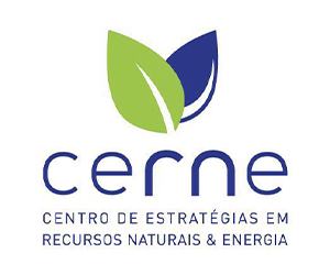 300 X 250 CERNE